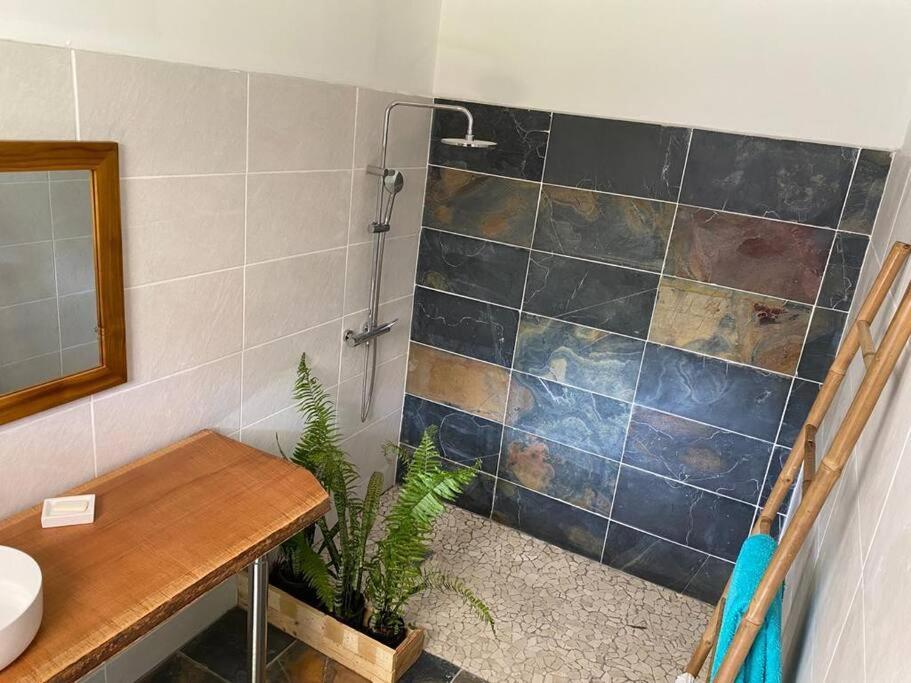 Zayann Zen Appartement Gourbeyre Buitenkant foto