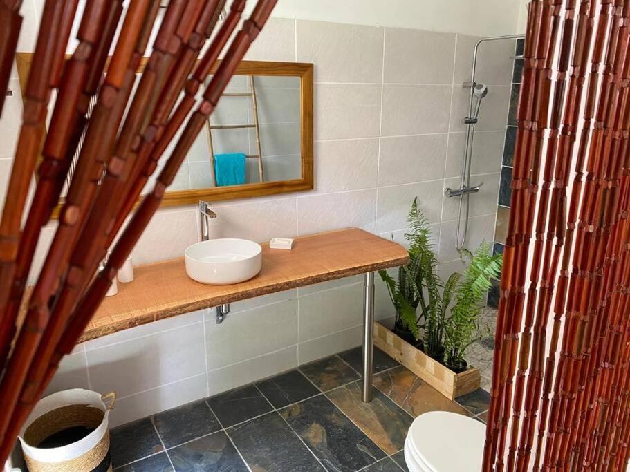 Zayann Zen Appartement Gourbeyre Buitenkant foto