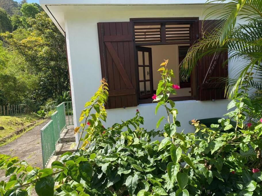 Zayann Zen Appartement Gourbeyre Buitenkant foto